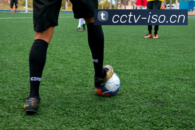 App Interface Preview