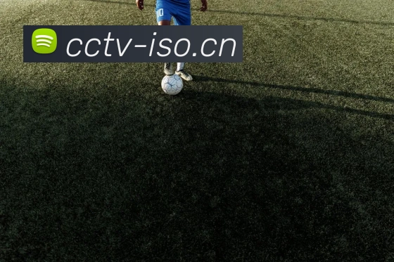 kaiyun官方网站APP 封面图